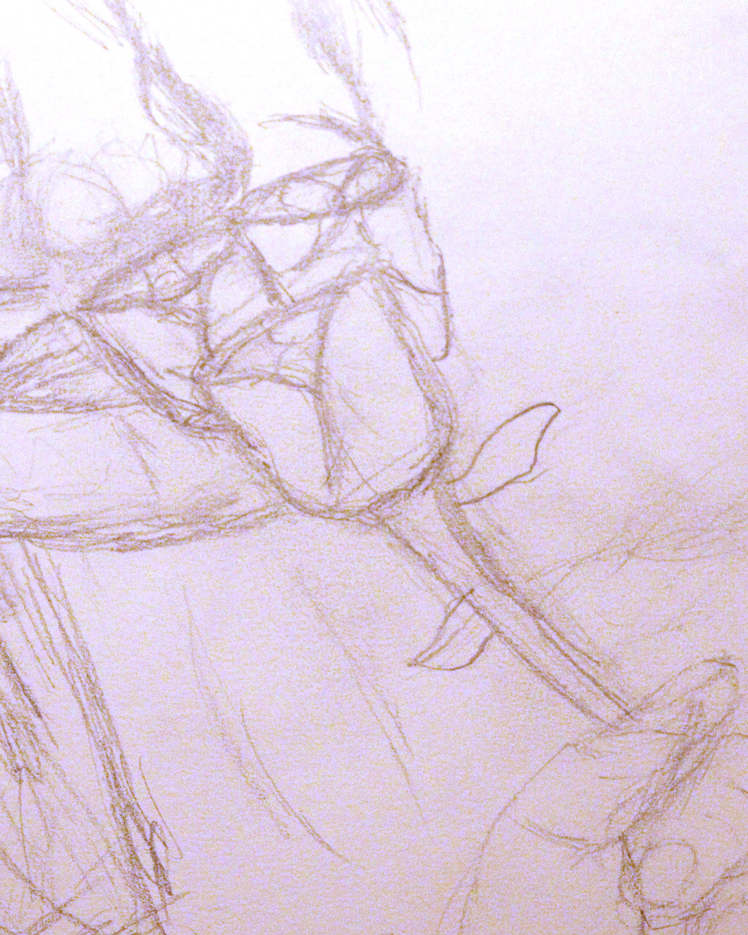Drawing Pole Sports